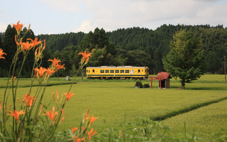 いすみ鉄道　ムーミン列車