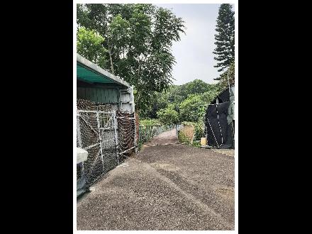 【臺中營業分處】【土地標租】【苗栗縣造橋鄉平興段525、526地號部分土地 】【114.11.20－114.12.08】全頁相片.jpg