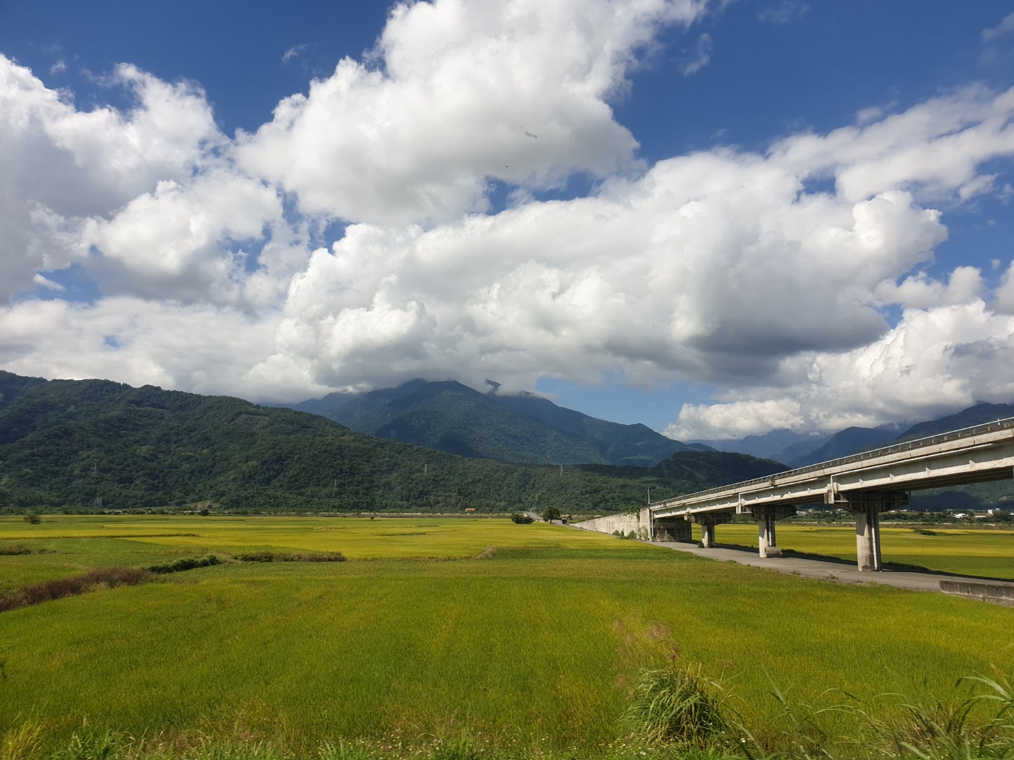 【郵輪式列車】9/1八里知名飯店新開幕.快閃音樂列車.後山小鎮森旅3日(中北部出發)(已完售)