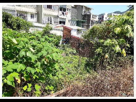  【臺中營業分處】【土地標租】【苗栗縣三義鄉五穀段690地號部分土地A標】【114.09.16－114.09.30】
