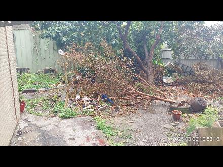 【臺中營業分處】【土地標租】【雲林縣虎尾鎮同心段482、483、484、488地號部分土地，面積161.605平方公尺】