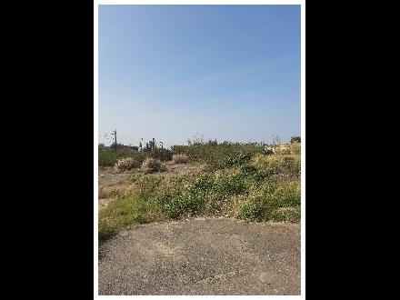 【臺中營業分處】【土地標租】【苗栗縣後龍鎮苦苓腳段166之13、167之2地號全部暨170之1、166之11地號部分土地】【115.03.13－115.03.26】