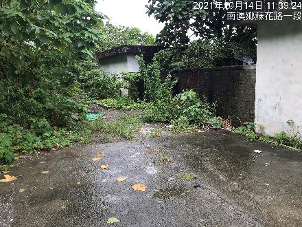 【花蓮營業分處】【房地標租】【宜蘭縣南澳鄉澳花村碧海路40號標租案】【114年5月8日－114年6月5日】(請自行前往查看)
